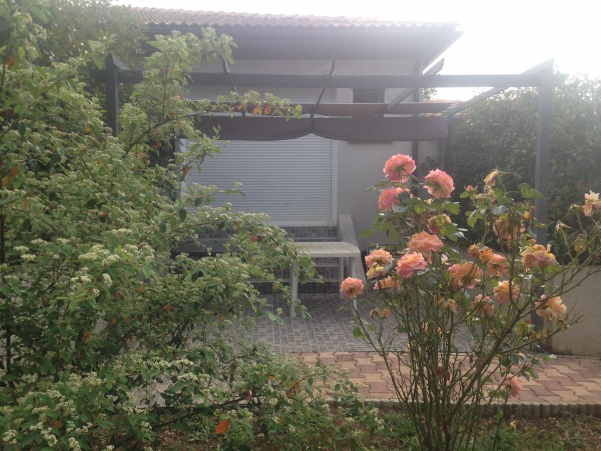 Apartamento Cavone 2 Castellare-di-Casinca Exterior foto